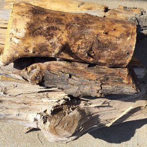 Firewood Bundle